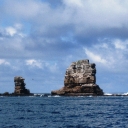 Darwin Island 11.JPG